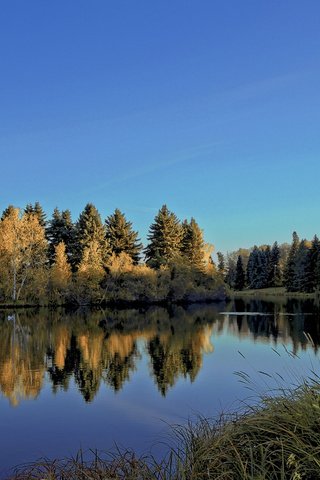 Обои небо, деревья, река, природа, лес, отражение, пейзаж, diego lapetina, the sky, trees, river, nature, forest, reflection, landscape разрешение 1920x1200 Загрузить