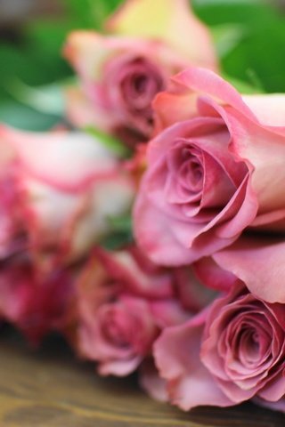 Обои цветы, бутоны, розы, букет, flowers, buds, roses, bouquet разрешение 1920x1080 Загрузить