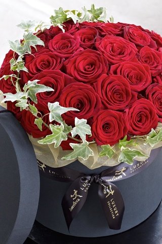 Обои цветы, розы, букет, красные розы, flowers, roses, bouquet, red roses разрешение 2827x2825 Загрузить