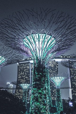 Обои ночь, подсветка, архитектура, сингапур, night, backlight, architecture, singapore разрешение 4962x3308 Загрузить