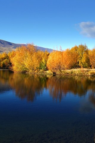 Обои небо, вода, озеро, осень, ивы, the sky, water, lake, autumn, willow разрешение 2400x1337 Загрузить