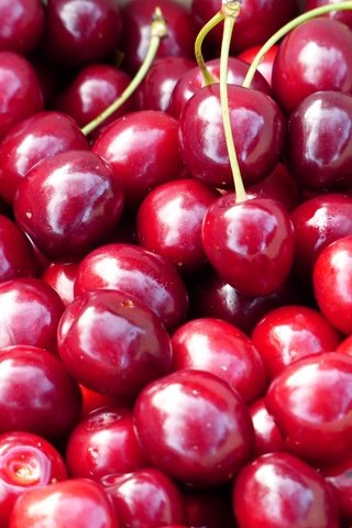 Обои черешня, ягоды, вишня, cherry, berries разрешение 4000x3000 Загрузить