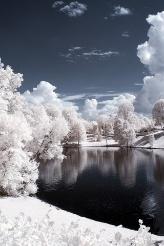 Обои небо, облака, деревья, вода, снег, природа, зима, the sky, clouds, trees, water, snow, nature, winter разрешение 2560x1600 Загрузить