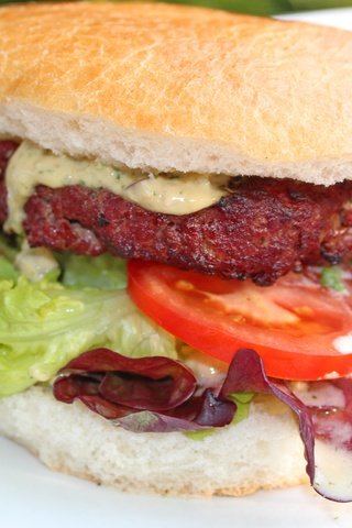 Обои гамбургер, помидор, салат, бургер, сэндвич, hamburger, tomato, salad, burger, sandwich разрешение 5184x3456 Загрузить