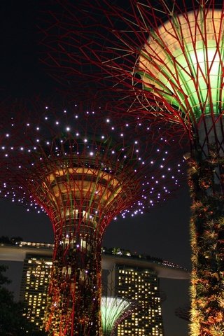 Обои свет, достопримечательность, ночь, сингапур, деревья, креативность, огни, дизайн, азия, фейерверк, освещение, light, attraction, night, singapore, creativity, trees, lights, design, asia, fireworks, lighting разрешение 1920x1280 Загрузить