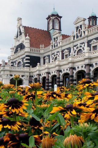 Обои цветы, архитектура, новая зеландия, рудбекия, данидин, flowers, architecture, new zealand, rudbeckia, dunedin разрешение 2400x1587 Загрузить