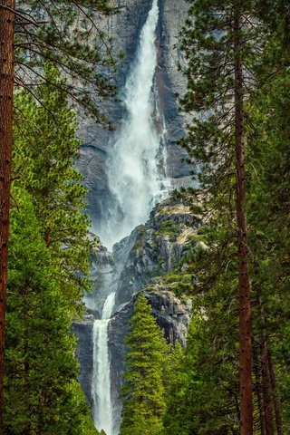 Обои деревья, лес, фон, пейзаж, скала, водопад, поток, сосны, trees, forest, background, landscape, rock, waterfall, stream, pine разрешение 1920x1080 Загрузить