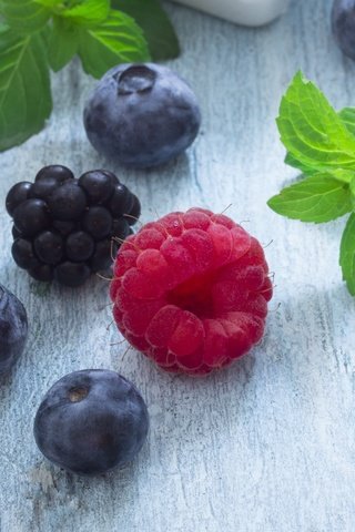 Обои мята, листья, малина, ягоды, черника, ежевика, mint, leaves, raspberry, berries, blueberries, blackberry разрешение 4608x3456 Загрузить