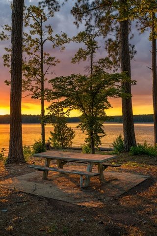 Обои деревья, озеро, берег, лес, закат, стволы, скамейка, trees, lake, shore, forest, sunset, trunks, bench разрешение 2048x1366 Загрузить