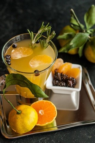Обои напиток, фрукты, мандарины, фреш, розмарин, drink, fruit, tangerines, fresh, rosemary разрешение 2500x1641 Загрузить