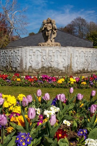 Обои цветы, солнечно, деревья, уэльс, парк, botanic gardens, swansea, великобритания, сад, тюльпаны, скульптура, газон, flowers, sunny, trees, wales, park, uk, garden, tulips, sculpture, lawn разрешение 2560x1752 Загрузить