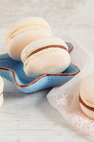 Обои еда, салфетка, сладкое, печенье, макаруны, food, napkin, sweet, cookies, macaroon разрешение 2400x1576 Загрузить