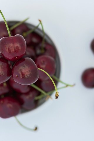 Обои макро, черешня, ягоды, вишня, вишни, macro, cherry, berries разрешение 2048x1419 Загрузить