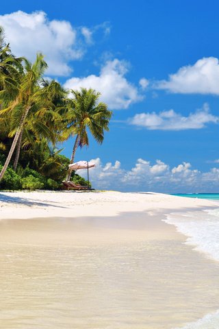 Обои море, пляж, тропики, sea, beach, tropics разрешение 4589x3039 Загрузить