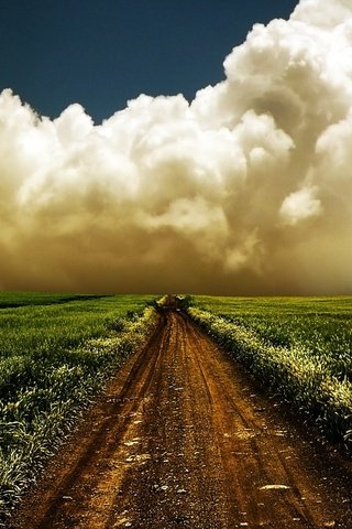 Обои небо, горизонт, дорога, трава, облака, природа, пейзаж, утро, поле, the sky, horizon, road, grass, clouds, nature, landscape, morning, field разрешение 1920x1200 Загрузить