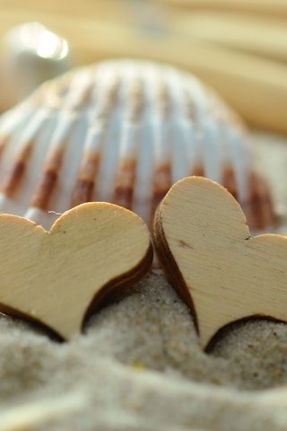 Обои песок, сердце, сердечки, ракушка, sand, heart, hearts, shell разрешение 4928x3264 Загрузить