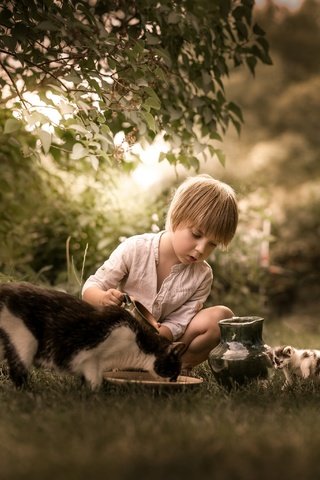 Обои природа, кошка, котенок, мальчик, кувшин, друзья, кормление, nature, cat, kitty, boy, pitcher, friends, feeding разрешение 2048x2048 Загрузить