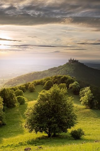 Обои небо, свет, деревья, солнце, утро, горизонт, замок, холм, the sky, light, trees, the sun, morning, horizon, castle, hill разрешение 2560x1631 Загрузить