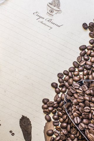 Обои ретро, кофе, кофейные зерна, кофемолка, retro, coffee, coffee beans, coffee grinder разрешение 5472x3648 Загрузить