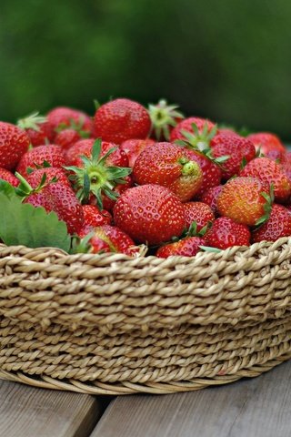 Обои ягода, клубника, спелая, корзинка, сочная, вкусная, berry, strawberry, ripe, basket, juicy, delicious разрешение 2048x1264 Загрузить