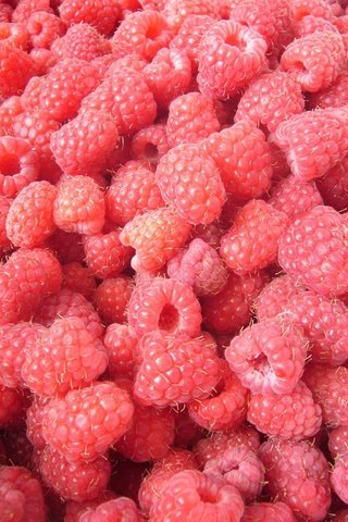 Обои малина, лето, ягоды, raspberry, summer, berries разрешение 2048x1536 Загрузить