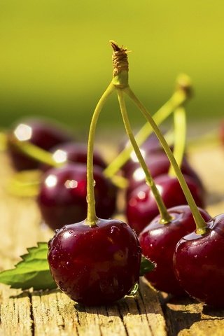 Обои макро, черешня, ягоды, вишня, сладкая, сочная, macro, cherry, berries, sweet, juicy разрешение 2048x1370 Загрузить