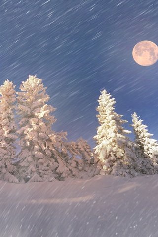 Обои небо, снегопад, деревья, снег, природа, лес, зима, снежинки, луна, the sky, snowfall, trees, snow, nature, forest, winter, snowflakes, the moon разрешение 2880x1800 Загрузить