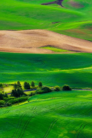 Обои трава, деревья, холмы, пейзаж, поля, grass, trees, hills, landscape, field разрешение 2880x1920 Загрузить