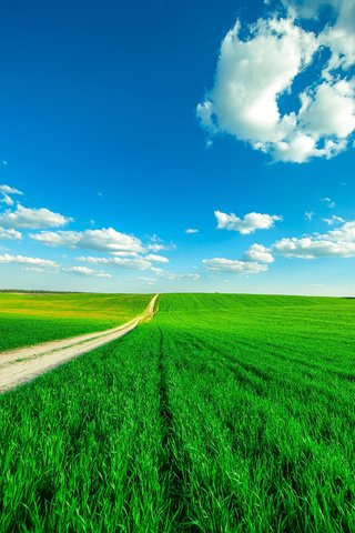 Обои небо, дорога, трава, облака, поле, горизонт, the sky, road, grass, clouds, field, horizon разрешение 4500x3000 Загрузить