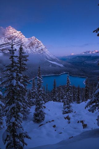 Обои озеро, горы, снег, лес, зима, канада, национальный парк банф, peyto lake, lake, mountains, snow, forest, winter, canada, banff national park разрешение 4000x2463 Загрузить