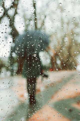 Обои деревья, девушка, капли, модель, дождь, зонт, rainy days, luis valadares, trees, girl, drops, model, rain, umbrella разрешение 1920x1280 Загрузить