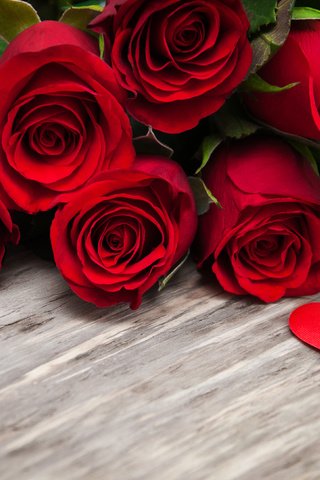Обои цветы, бутоны, розы, красные, букет, сердечки, flowers, buds, roses, red, bouquet, hearts разрешение 4114x2631 Загрузить