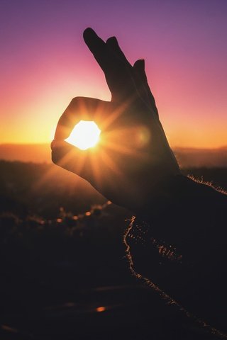 Обои свет, солнце, рука, закат, силуэт, пальцы, light, the sun, hand, sunset, silhouette, fingers разрешение 5184x3060 Загрузить