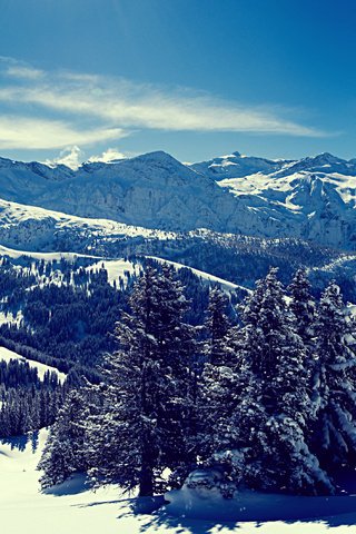 Обои небо, деревья, горы, снег, лес, зима, снежные вершины, the sky, trees, mountains, snow, forest, winter, snowy peaks разрешение 3571x2678 Загрузить