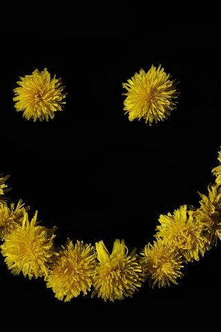 Обои цветок, улыбка, черный фон, одуванчики, смайлик, желтые цветы, flower, smile, black background, dandelions, smiley, yellow flowers разрешение 2048x1356 Загрузить