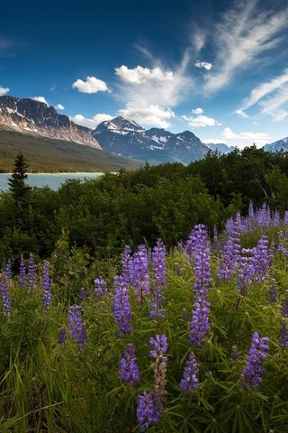 Обои небо, цветы, облака, река, горы, утро, лето, the sky, flowers, clouds, river, mountains, morning, summer разрешение 2048x1365 Загрузить