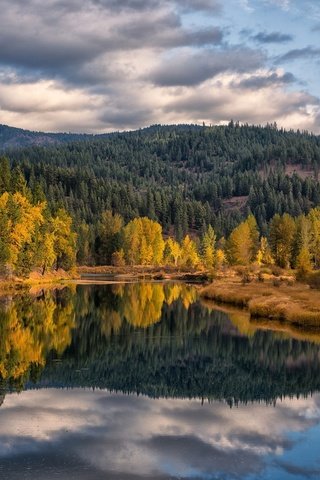 Обои небо, осень, облака, красота, деревья, озеро, природа, лес, отражение, пейзаж, the sky, autumn, clouds, beauty, trees, lake, nature, forest, reflection, landscape разрешение 1920x1281 Загрузить