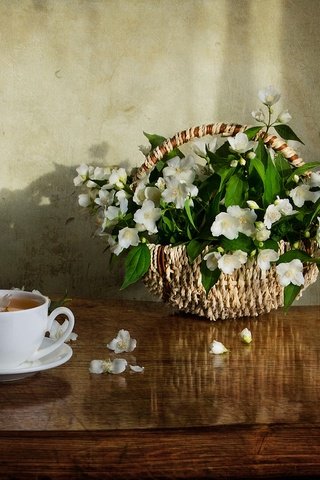 Обои цветы, лепестки, стол, корзина, чашка, чай, жасмин, flowers, petals, table, basket, cup, tea, jasmine разрешение 2000x1332 Загрузить