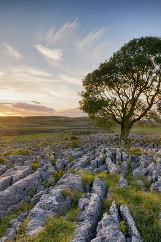 Обои небо, свет, облака, солнце, дерево, камни, утро, поле, the sky, light, clouds, the sun, tree, stones, morning, field разрешение 2560x1707 Загрузить