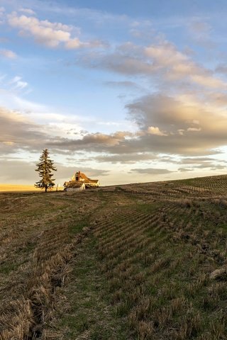 Обои небо, дом, свет, облака, природа, дерево, утро, поле, горизонт, the sky, house, light, clouds, nature, tree, morning, field, horizon разрешение 2048x1367 Загрузить