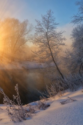 Обои солнце, снег, природа, лес, зима, утро, zhmak evgeniy, the sun, snow, nature, forest, winter, morning разрешение 1920x1200 Загрузить