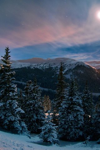 Обои дорога, ночь, природа, лес, зима, колорадо, mike berenson, road, night, nature, forest, winter, colorado разрешение 1920x1200 Загрузить