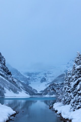 Обои деревья, lake louisebanff, озеро, горы, снег, лес, зима, канада, национальный парк, trees, lake, mountains, snow, forest, winter, canada, national park разрешение 1920x1200 Загрузить