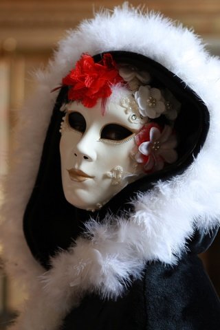 Обои маска, цветок, костюм, капюшон, карнавал, mask, flower, costume, hood, carnival разрешение 3000x2000 Загрузить