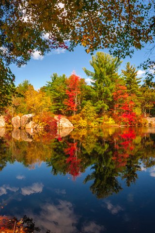 Обои небо, облака, деревья, озеро, природа, лес, отражение, осень, the sky, clouds, trees, lake, nature, forest, reflection, autumn разрешение 3840x2400 Загрузить