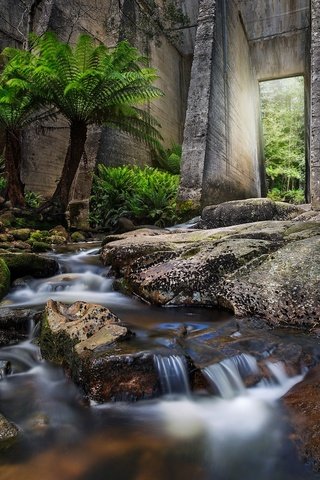 Обои вода, листья, водопад, осень, поток, пальмы, water, leaves, waterfall, autumn, stream, palm trees разрешение 2048x1365 Загрузить