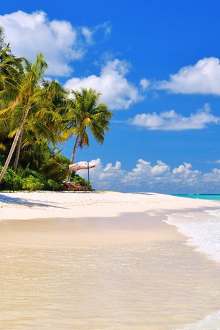 Обои море, пляж, тропики, 9, sea, beach, tropics разрешение 4589x3039 Загрузить