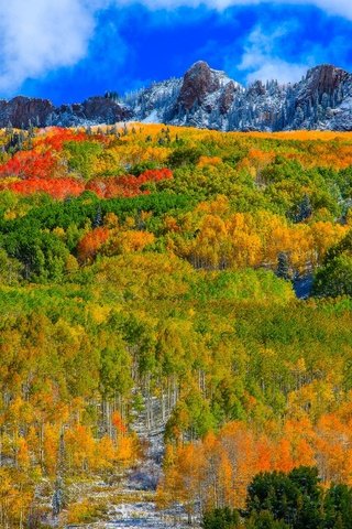 Обои небо, аспен, облака, горы, лес, склон, осень, сша, колорадо, the sky, aspen, clouds, mountains, forest, slope, autumn, usa, colorado разрешение 2048x1208 Загрузить