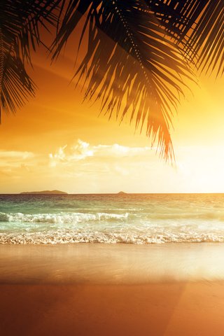 Обои закат, море, пляж, тропики, 8, sunset, sea, beach, tropics разрешение 5479x4128 Загрузить