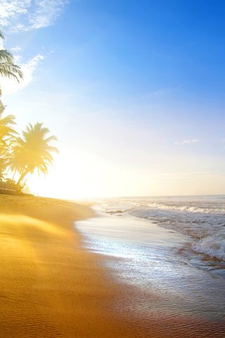 Обои море, пляж, тропики, 1, sea, beach, tropics разрешение 5788x3878 Загрузить